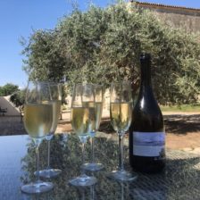 Lekkere wijn italie